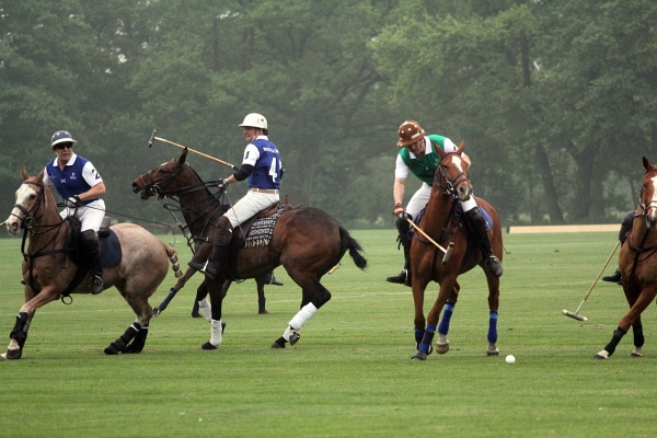 Polo_Art   039.jpg